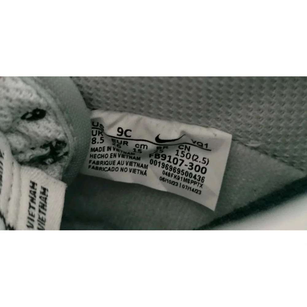 Nike Dunk Low TD Deep Jungle White Light Silver Toddler Shoes Size 9C FB9107-300